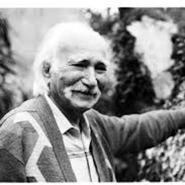 Armando Albuquerque