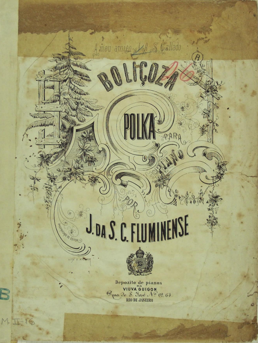 João da Silva Campos Fluminense