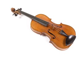 Viola