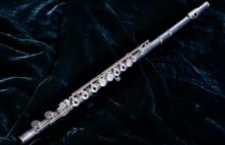 Flauta transversa
